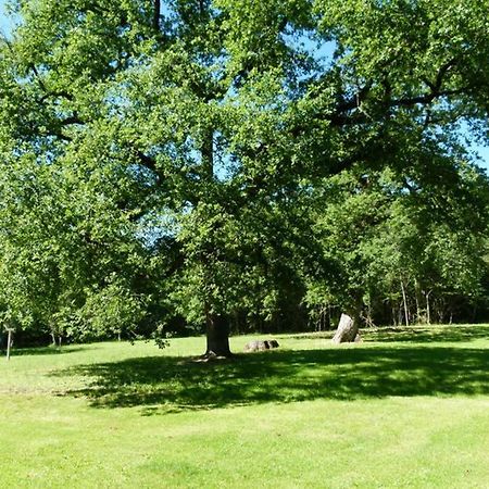 Gite En Brenne Les Chenes Merigny المظهر الخارجي الصورة