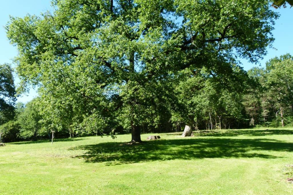 Gite En Brenne Les Chenes Merigny المظهر الخارجي الصورة
