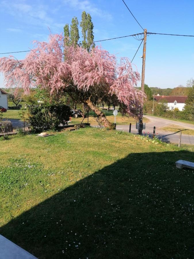 Gite En Brenne Les Chenes Merigny المظهر الخارجي الصورة
